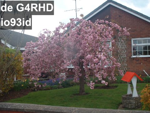 DSCF0086