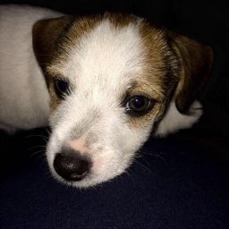 Andy profile picture